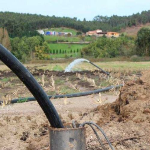 Trabajo de sondeos